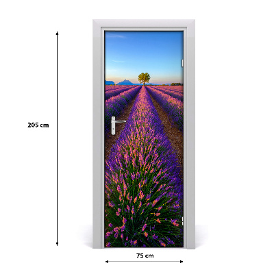 Fototapeta na dvere samolepiace poľa levanduľa
