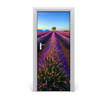 Fototapeta na dvere samolepiace poľa levanduľa