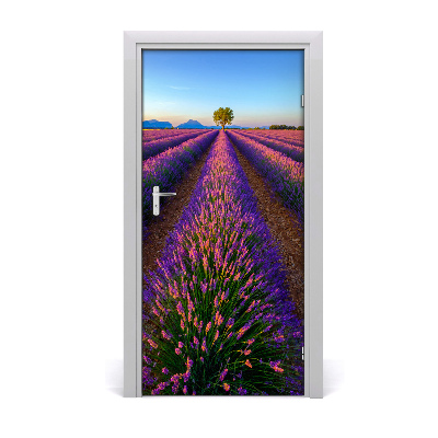 Fototapeta na dvere samolepiace poľa levanduľa