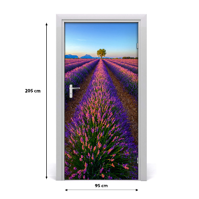 Fototapeta na dvere samolepiace poľa levanduľa
