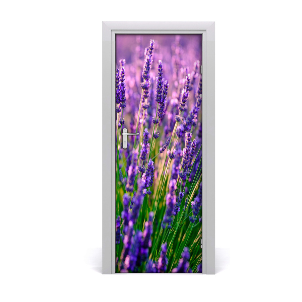 Fototapeta na dvere pole levanduľa