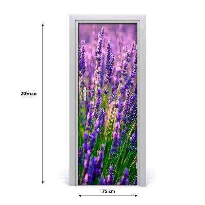 Fototapeta na dvere pole levanduľa