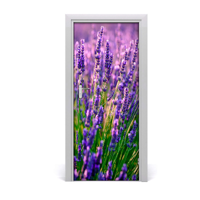 Fototapeta na dvere pole levanduľa