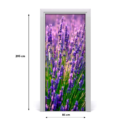 Fototapeta na dvere pole levanduľa