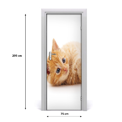 Samolepiace fototapety na dvere Malá červená mačka