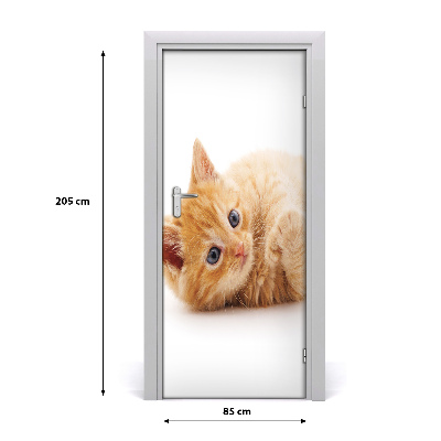 Samolepiace fototapety na dvere Malá červená mačka