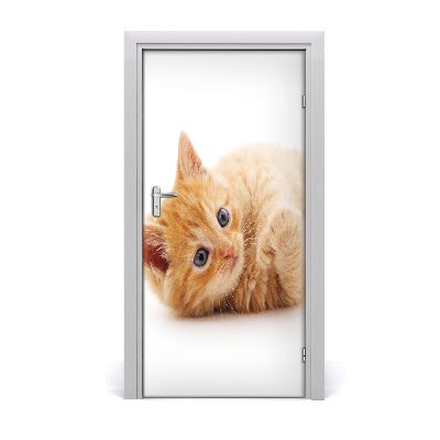 Samolepiace fototapety na dvere Malá červená mačka