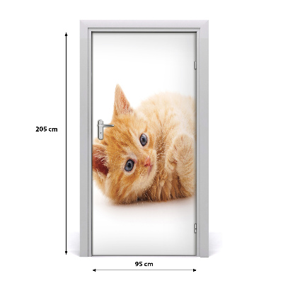 Samolepiace fototapety na dvere Malá červená mačka