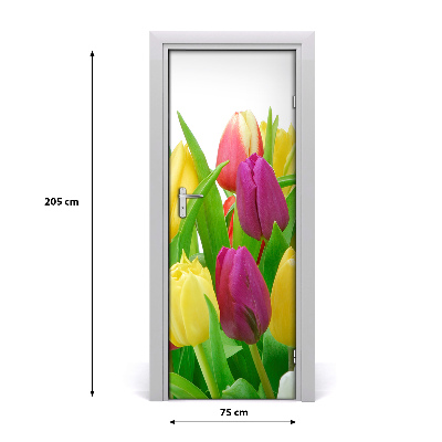 Fototapeta na dvere kvety tulipány