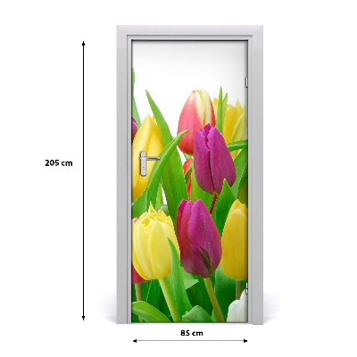 Fototapeta na dvere kvety tulipány
