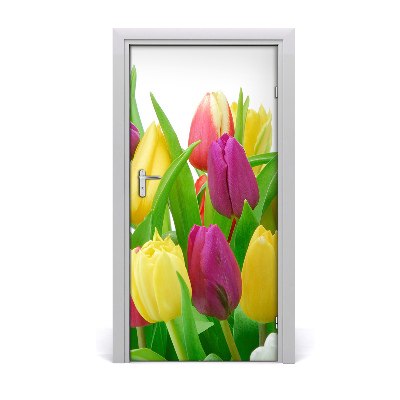Fototapeta na dvere kvety tulipány