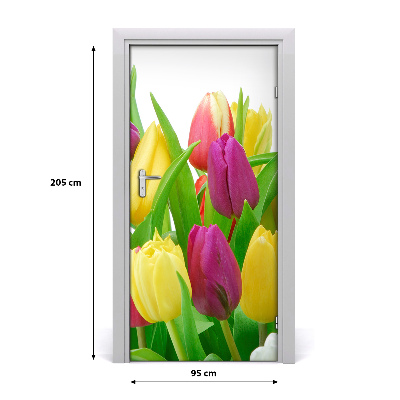 Fototapeta na dvere kvety tulipány