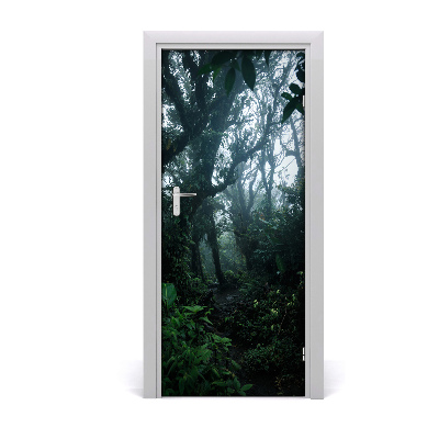 Fototapeta na dvere samolepiace dažďový les