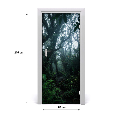 Fototapeta na dvere samolepiace dažďový les