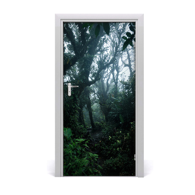 Fototapeta na dvere samolepiace dažďový les
