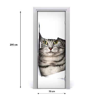 Fototapeta samolepiace na dvere mačka v diere