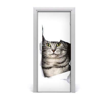 Fototapeta samolepiace na dvere mačka v diere