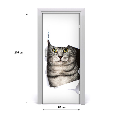 Fototapeta samolepiace na dvere mačka v diere