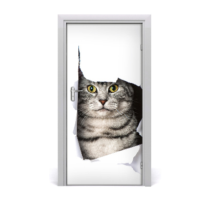 Fototapeta samolepiace na dvere mačka v diere