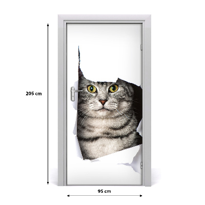 Fototapeta samolepiace na dvere mačka v diere
