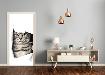Fototapeta samolepiace na dvere mačka v diere