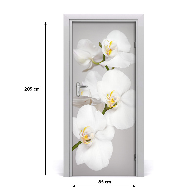 Fototapeta na dvere biela orchidea