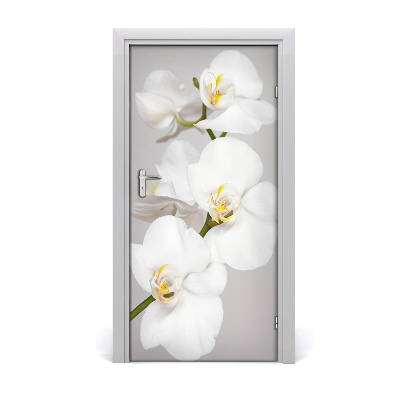 Fototapeta na dvere biela orchidea