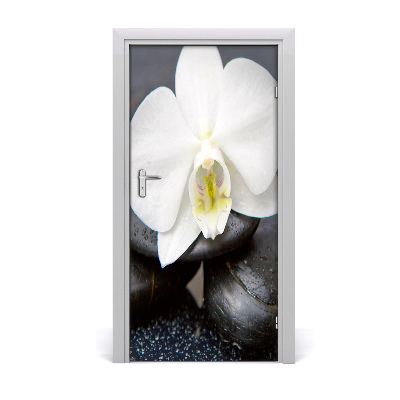 Fototapeta na dvere orchidea zen