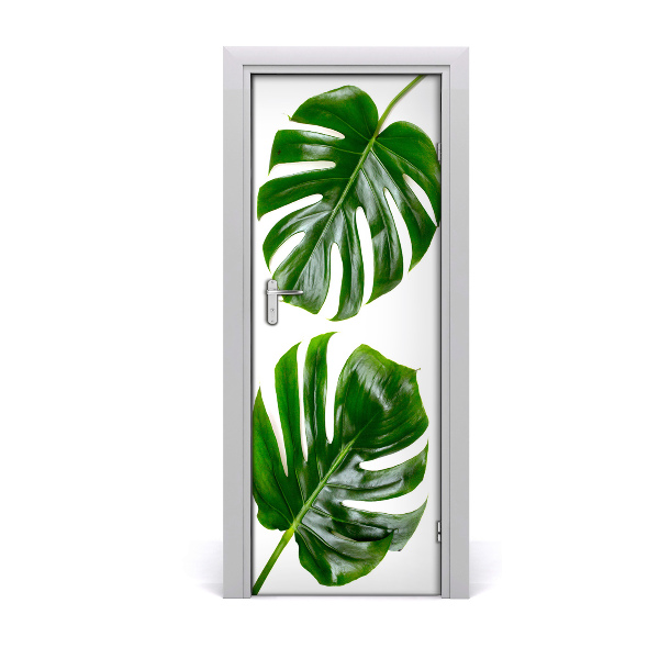 Fototapeta na dvere Monstera
