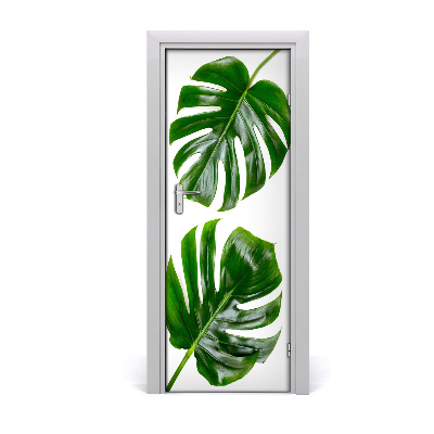 Fototapeta na dvere Monstera