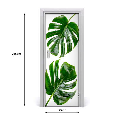 Fototapeta na dvere Monstera