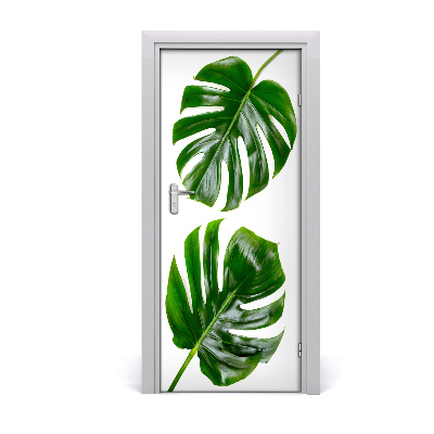 Fototapeta na dvere Monstera