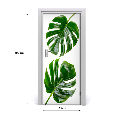 Fototapeta na dvere Monstera