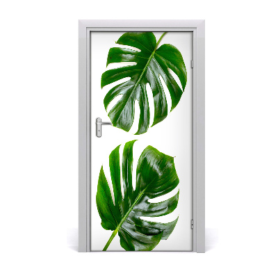 Fototapeta na dvere Monstera