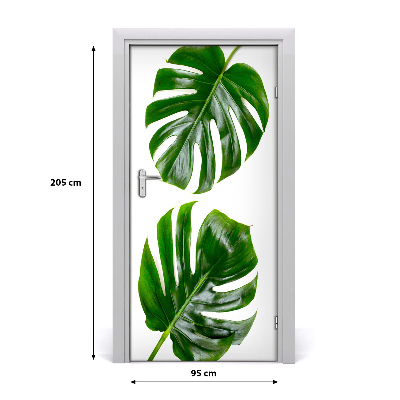 Fototapeta na dvere Monstera