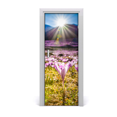 Fototapeta na dvere samolepiace Krókusy v horách
