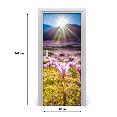 Fototapeta na dvere samolepiace Krókusy v horách