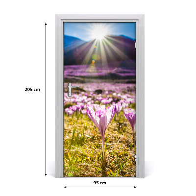 Fototapeta na dvere samolepiace Krókusy v horách