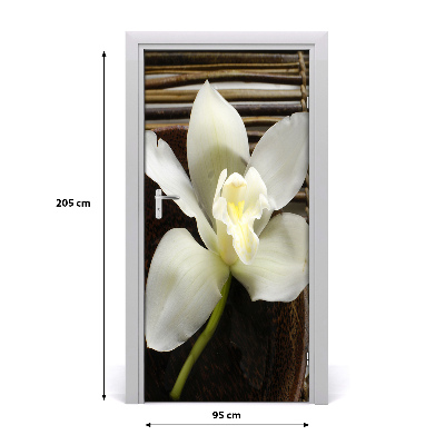 Fototapeta na dvere orchidea