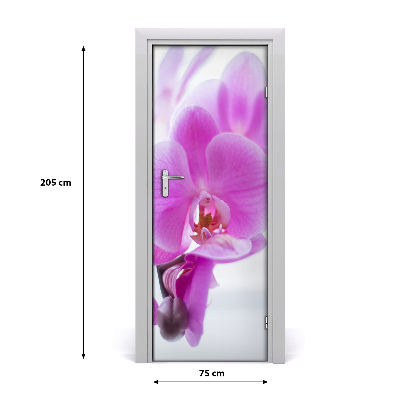 Fototapeta na dvere ružová orchidea