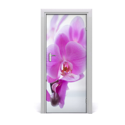 Fototapeta na dvere ružová orchidea