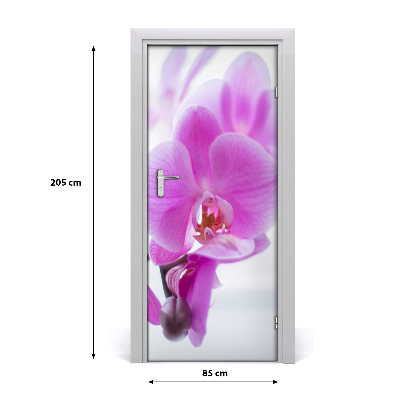 Fototapeta na dvere ružová orchidea