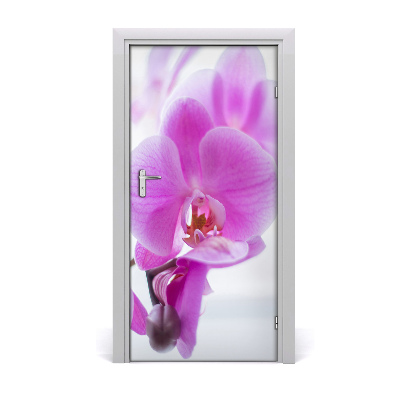 Fototapeta na dvere ružová orchidea