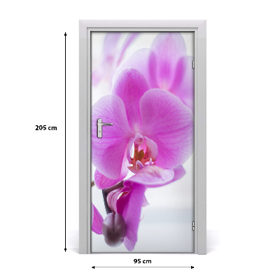 Fototapeta na dvere ružová orchidea