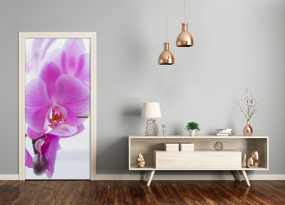 Fototapeta na dvere ružová orchidea