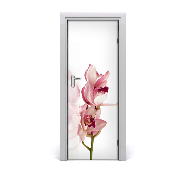 Fototapeta na dvere ružová orchidea