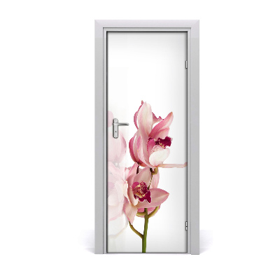 Fototapeta na dvere ružová orchidea