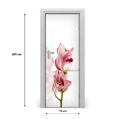Fototapeta na dvere ružová orchidea