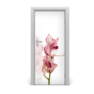 Fototapeta na dvere ružová orchidea