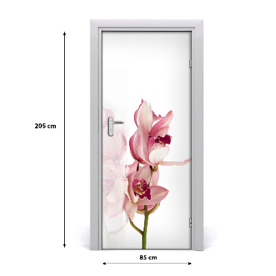 Fototapeta na dvere ružová orchidea
